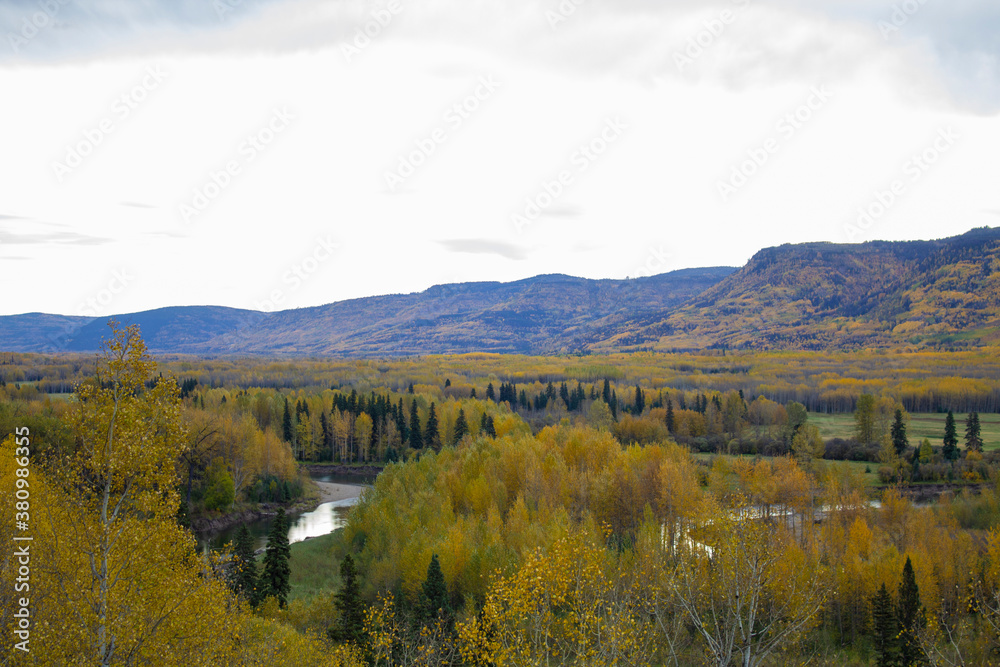 Autumn in Pine River Pine Pass BC Canada