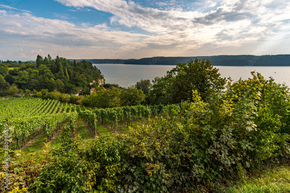 Hiking path through the beautiful vineyards on Lake Constance near Uberlingen