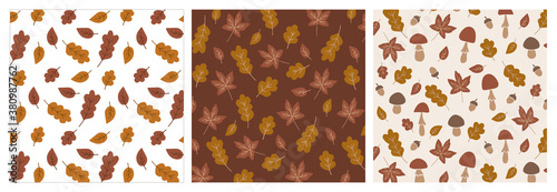 Cute Set of Autumn Hand Drawn Patterns with Leaves and Mushrooms Isolated.