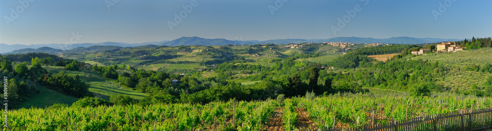 Panorama of hills of Chianti and vineyard of Castello Il Corno Tuscany Italy