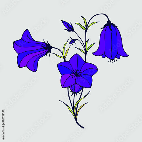 Bell flower. Vector stock illustration eps10.