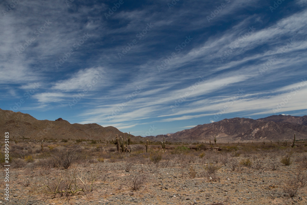 Desolated landscape. View of the arid desert, sand, vegetation and mountains under a beautiful blue sky with clouds.