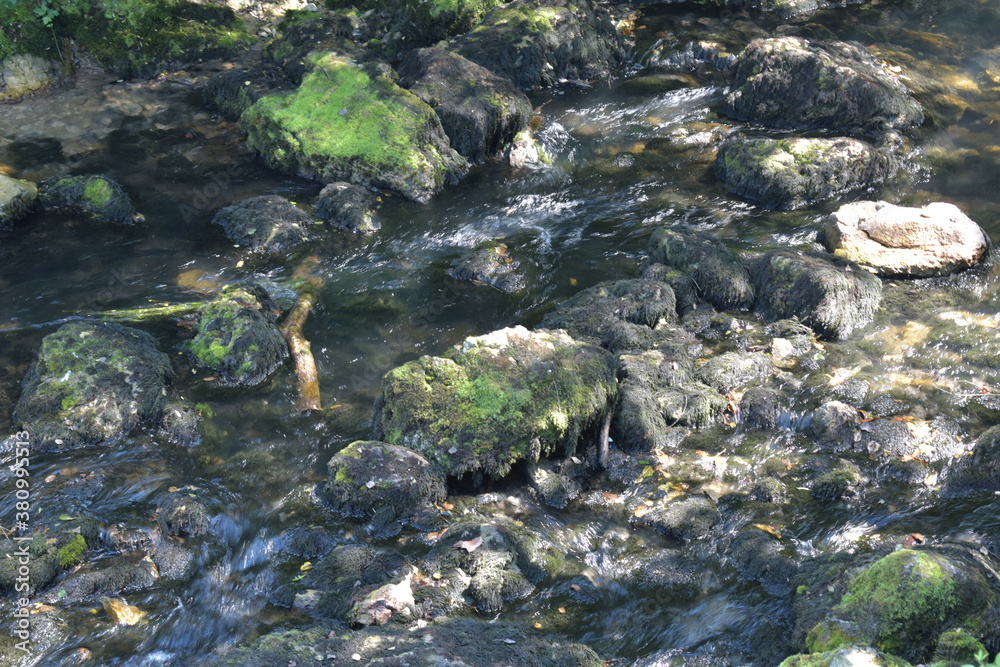 A clear forest river flowing through a stone riverbed. Green moss on the river bank and river stone.
