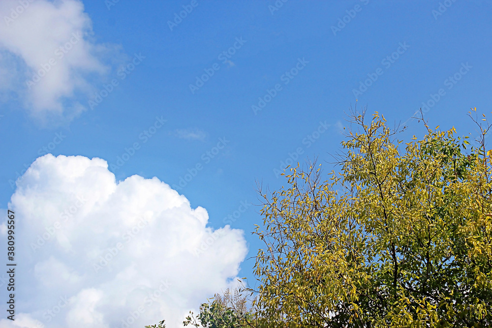 Obraz premium 구름