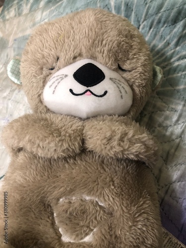 toy bear