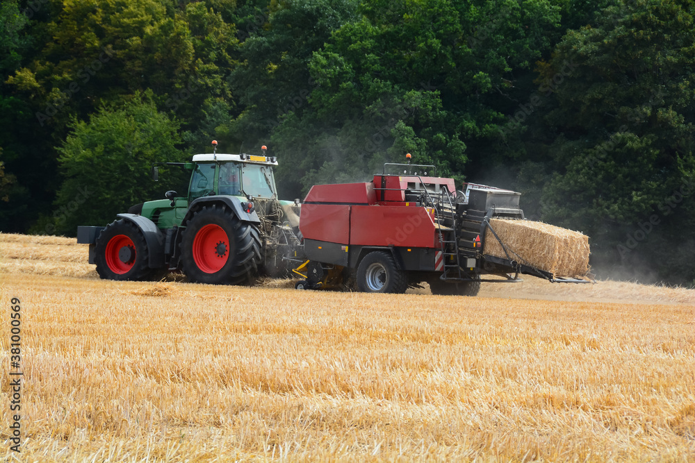 Obraz premium Moisson