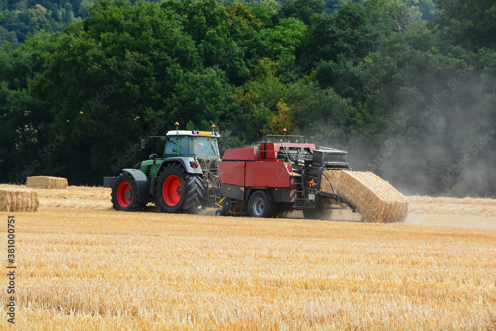 Obraz premium Moisson