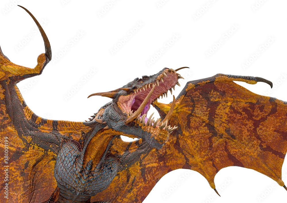 Fototapeta premium master dragon is passing by close up view