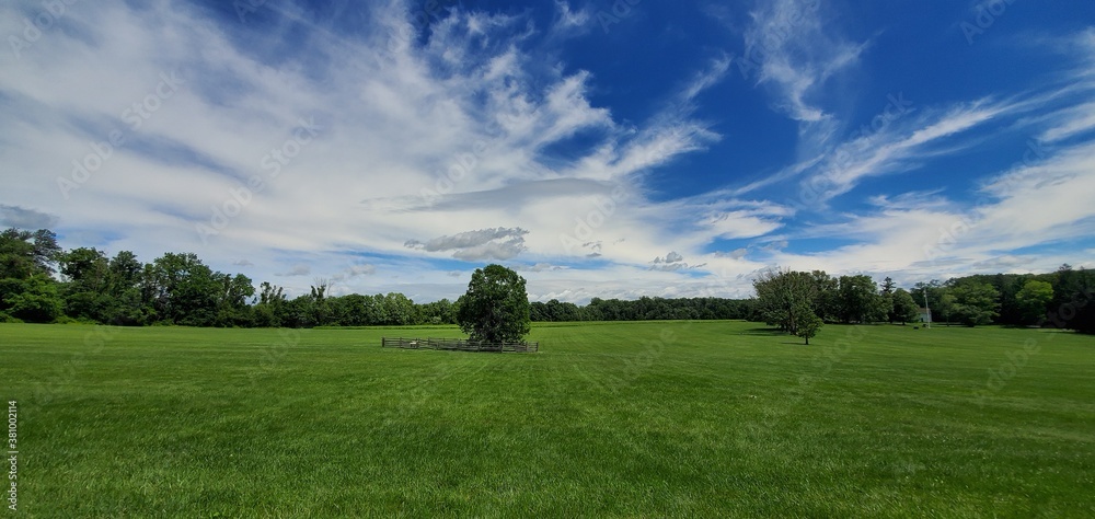 field and blue sky field and blue sky