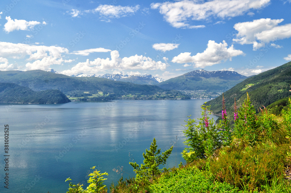 Beautiful clear mountain lake with flowers in the foreground in Norway.