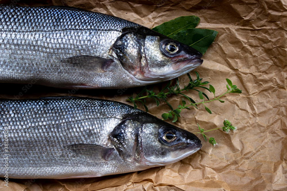 Two freshly caught sea bass on top of the brown paper. Two freshly caught sea bass on top of the brown paper.