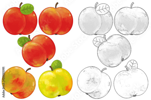 Fototapeta Naklejka Na Ścianę i Meble -  cartoon fruit apple set on white background - illustration