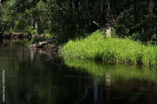 Along the Lumber River at Chalk Banks in Scotland County, NC