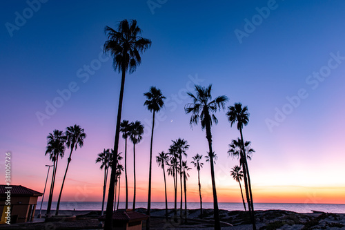 California sunset palm trees in Los Angeles at Dockweiler Beach