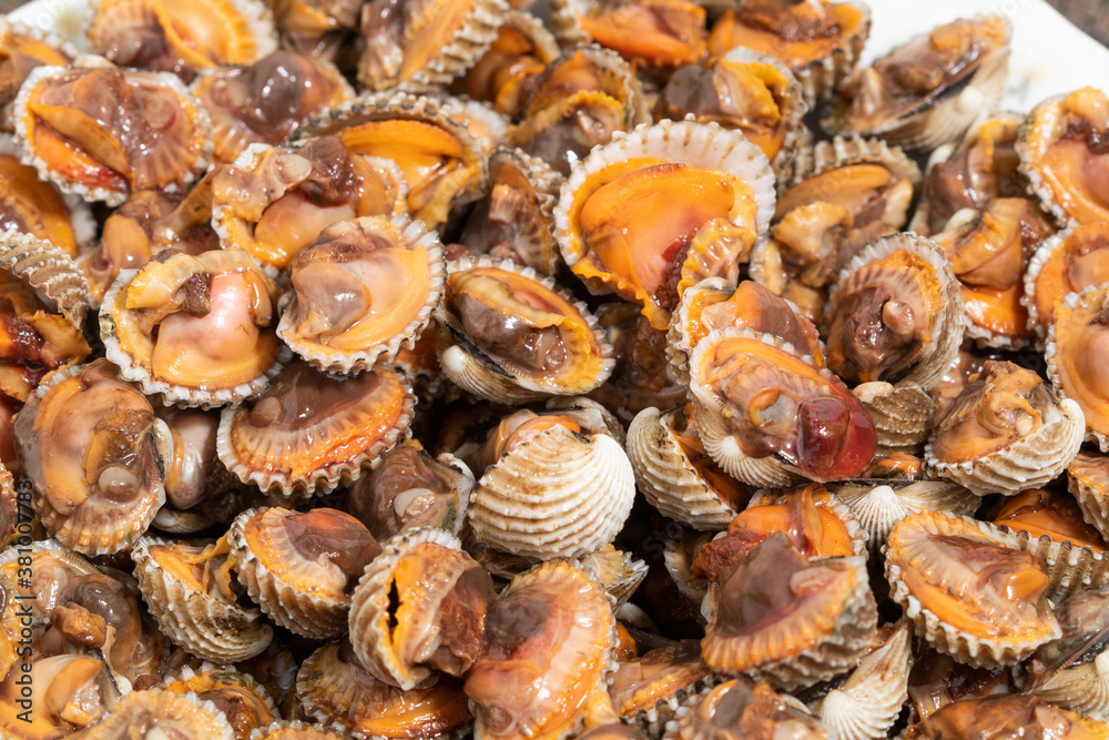 Close-up, boiled cockles arranged on a plate Close-up, boiled cockles arranged on a plate