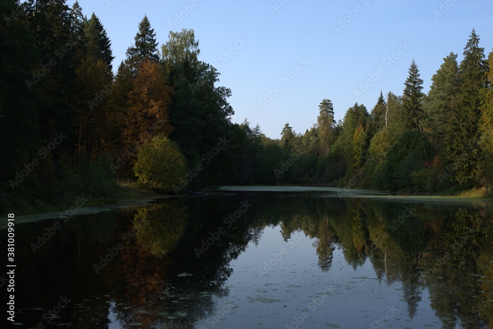 Autumn forest reflected in lake water at dusk