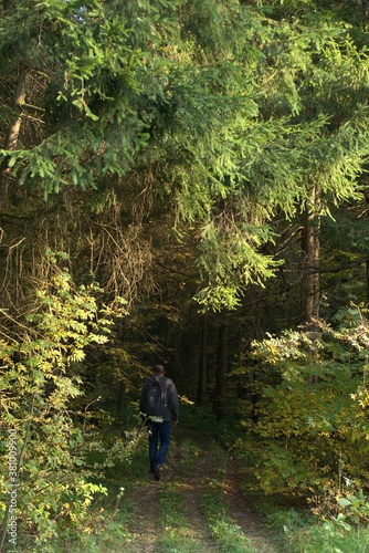 A man in a gray sweater, blue jeans and with a backpack walks along the path into the autumn forest