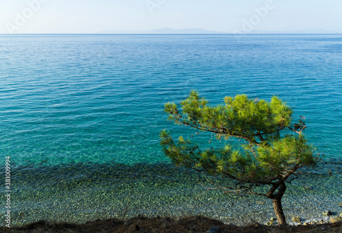 Blue sea, blue sky and green tree, Dilek Peninsula National Park in Turkey,  photo