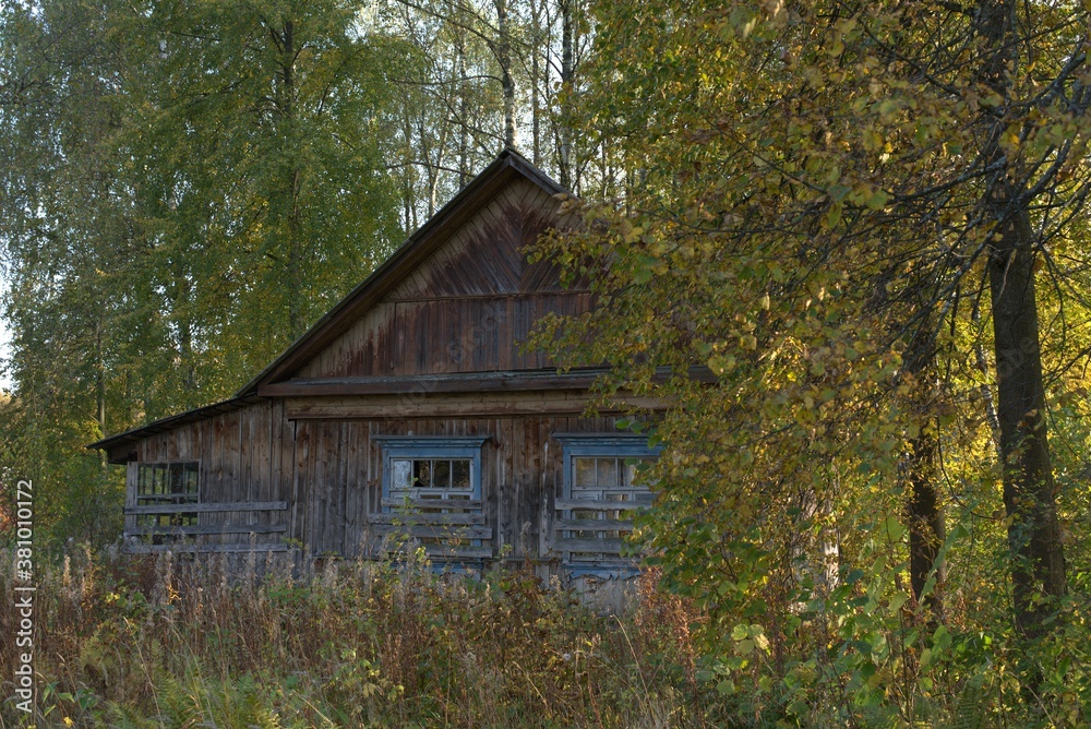 Old wooden house with boarded up windows and an extension among the trees of the autumn forest