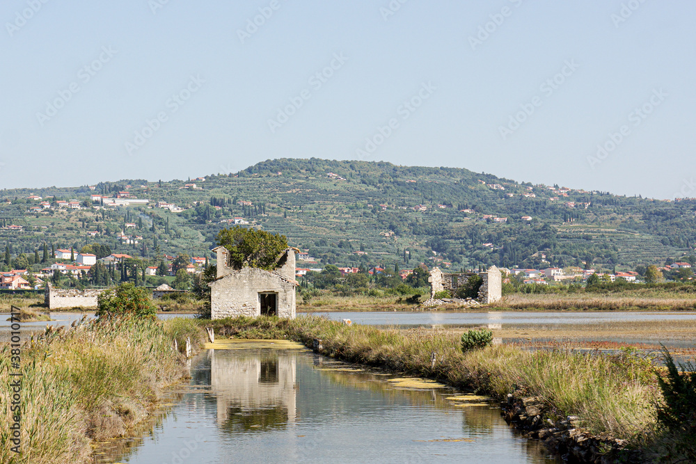 water ruins in the salt pans of Secovlje slovenia