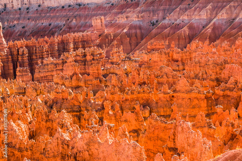 Glowing Hoodoos of Silent City From Sunset Point, Bryce Canyon National Park,Utah,USA