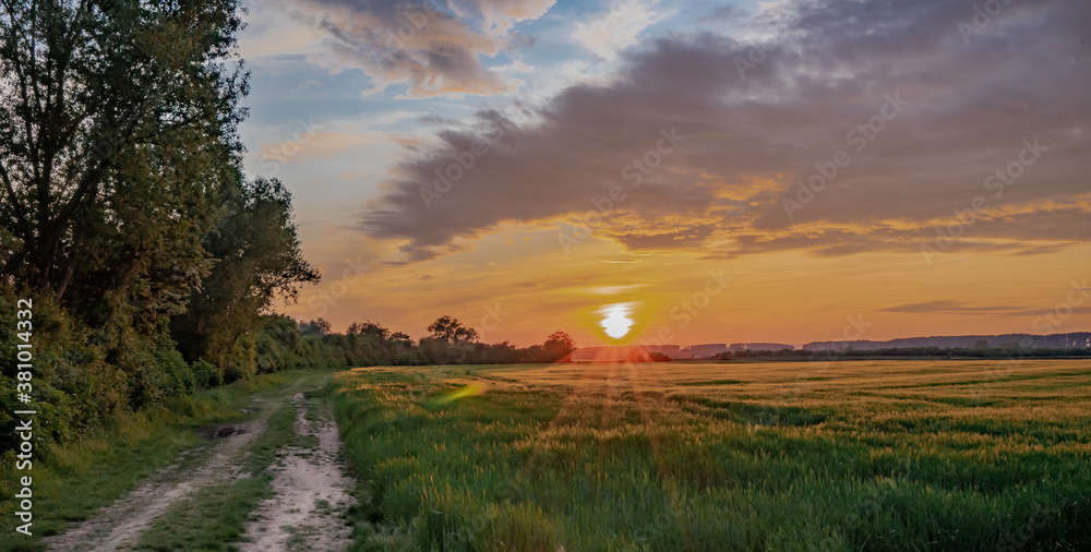 Sonnenuntergang im Feld Sonnenuntergang im Feld