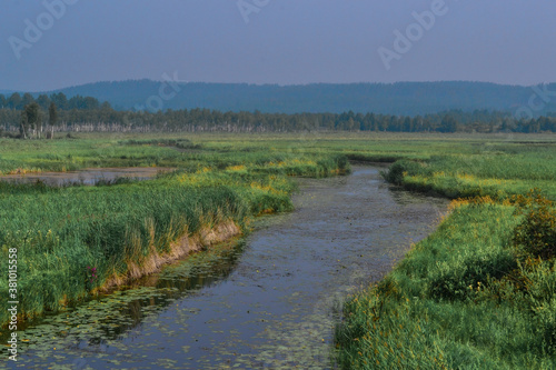 river flows among grassy green banks and trees on the horizon. Morning, haze, slight fog. Russian landscape. Leaves, water lilies in water