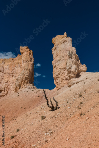 Obraz na plátně The Chinese Wall on The Fairyland Loop Trail, Bryce Canyon National Park,Utah,US