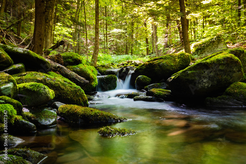 Peaceful view of summer river flowing through the green rocks