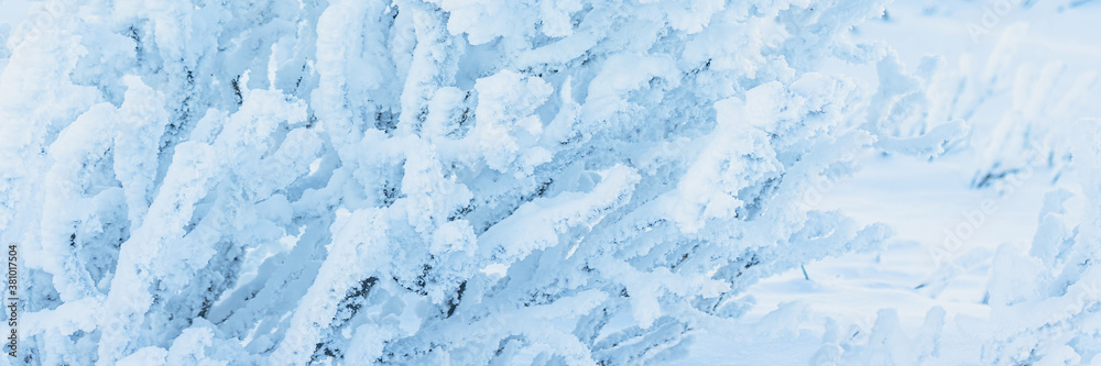 Plants in the tundra in the Arctic are covered with hoar frost. Snow and rime ice on the branches of bushes. Beautiful winter background with twigs covered with hoarfrost. Cold snowy weather. Frosting