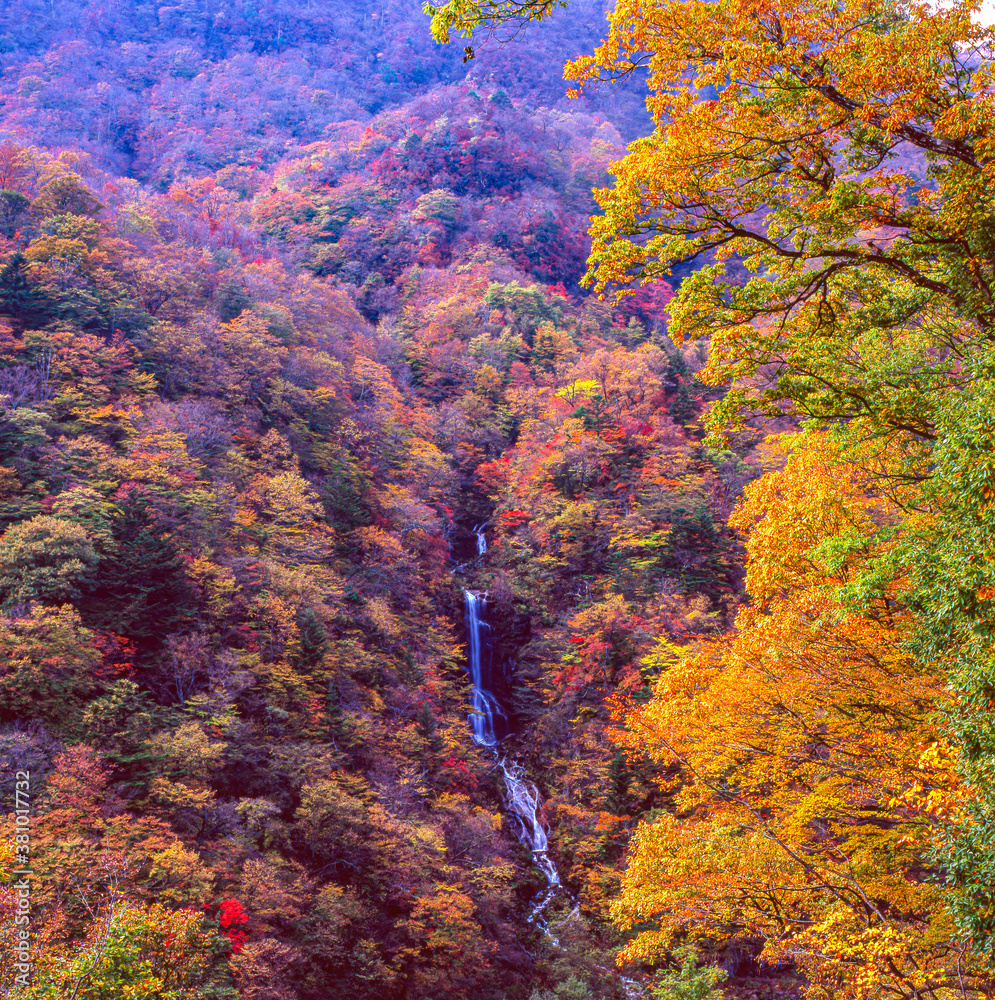 秋の紅葉した蛇王の滝 日光市栗山 の風景 Stock Photo Adobe Stock