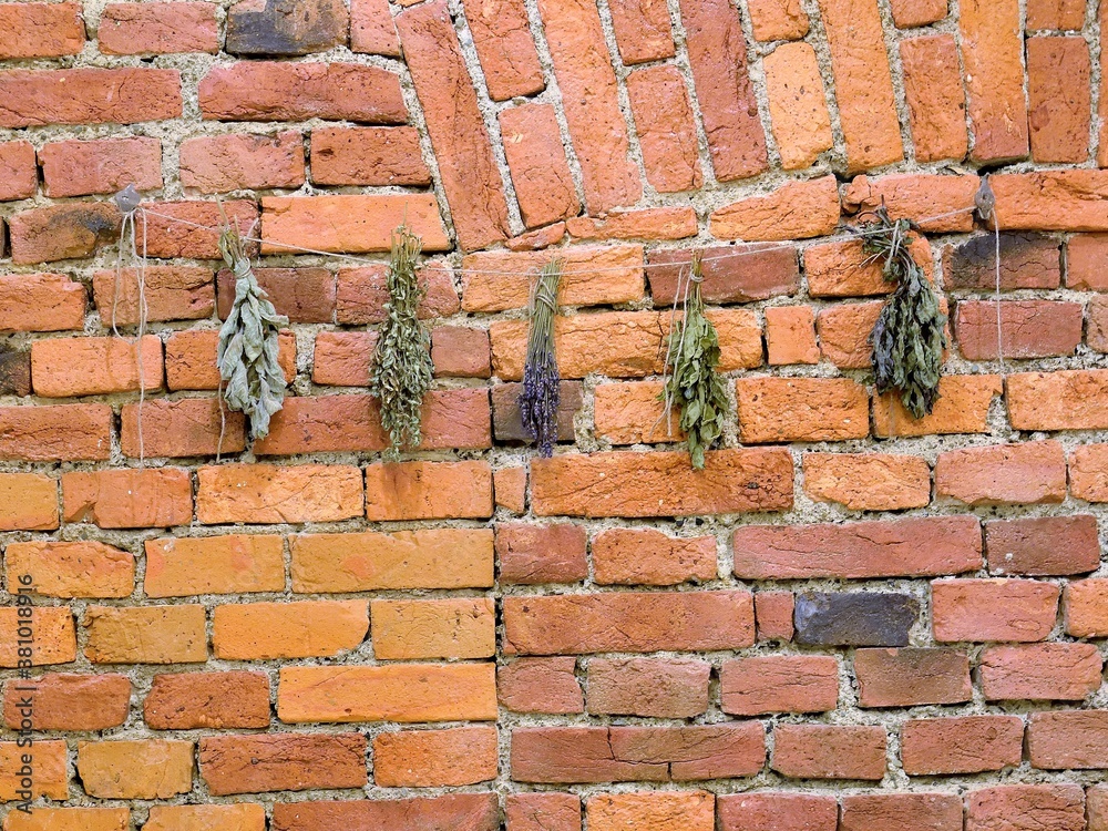 Obraz premium Herbs on bricks