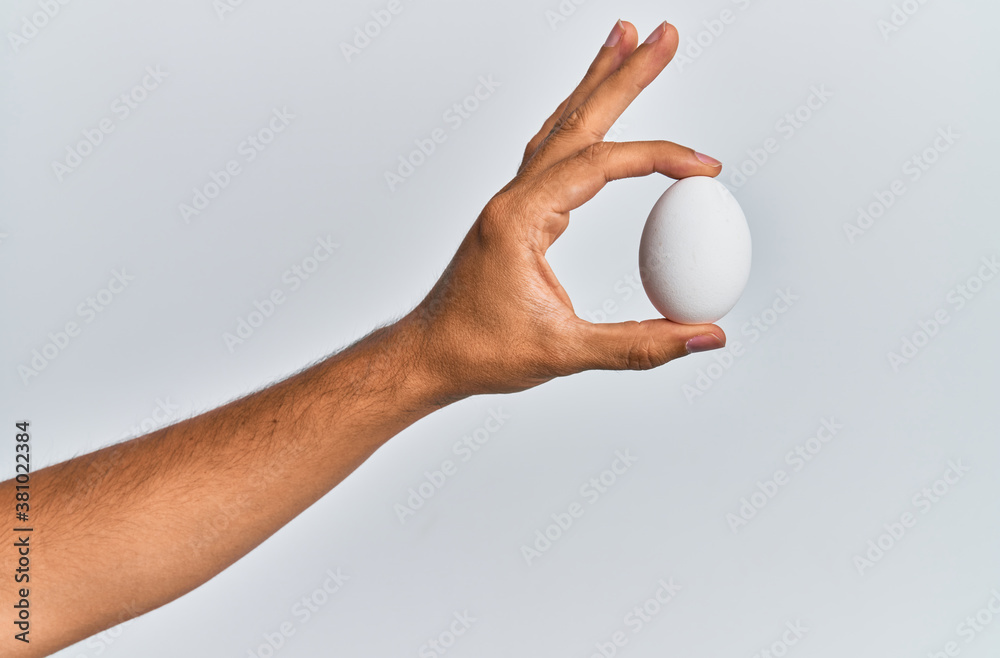 Young hispanic hand holding raw egg over isolated white background. Young hispanic hand holding raw egg over isolated white background.