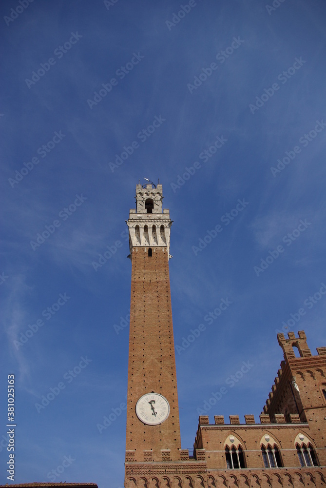 Fototapeta premium City tour in Siena, italy. 