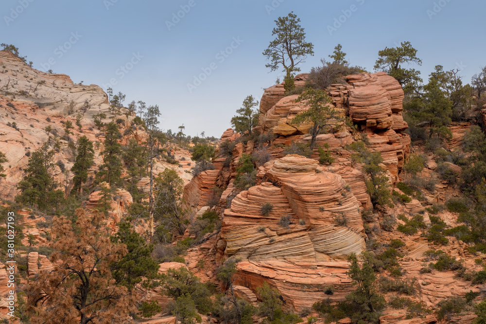 Pancake Rock Layers - Zion National Park