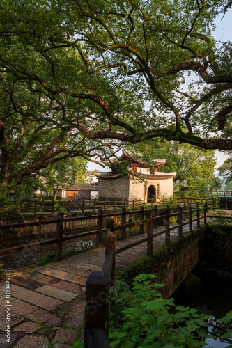 A Chinese historical pavilion under old banyan trees.  The text on the building means  