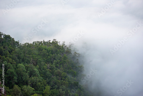 misty forest Foggy morning mist in valley beautiful in Thailand Asian / Misty landscape mountain fog and forest tree view on top Aerial view © Bigc Studio