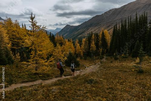Adventurous man/hiker hiking Mount Arenthusa trail in Kananaskis Country, Alberta, Canada. Golden larches trees, seasonal landscape view.