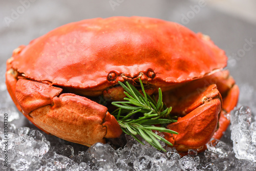 Fresh crab with ingredients lemon rosemary on ice - Seafood shellfish Steamed red crab or Boiled stone crab