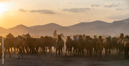 Western cowboy riding horses with dog in cloud of dust in the sunset