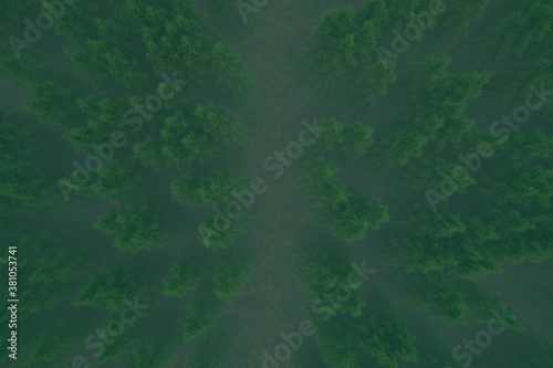 aerial view on the road in a forest  vertical path