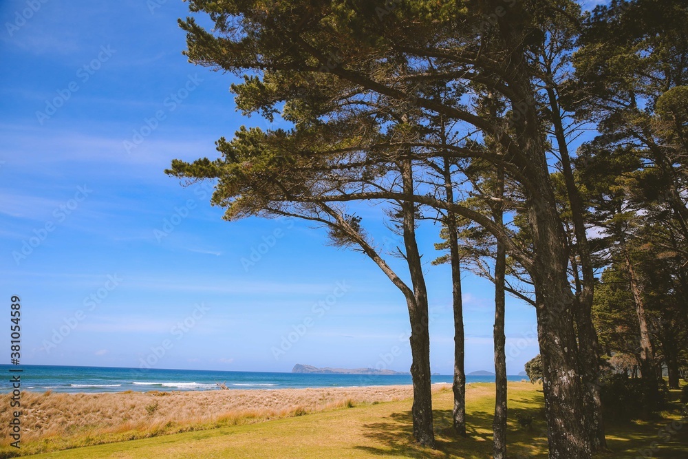 Royal Billy Point Park, Pauanui, New Zealand
Royal Billy Point Park, Pauanui, New Zealand
