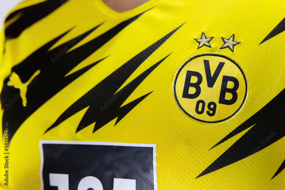 Borussia Dortmund FC Germany Bundesliga Vinyl Sticker Decal Soccer Football  US | eBay