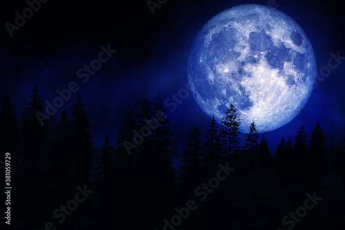 Landscape view of Forest in the dark and fog or mist with full moon in blue lighting background. (Elements of this image furnished by NASA.)