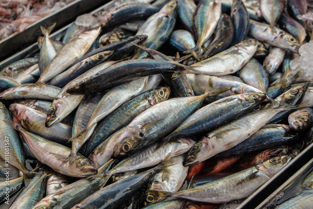 Tuna fish bundke sell in seafood market Tuna fish bundke sell in seafood market