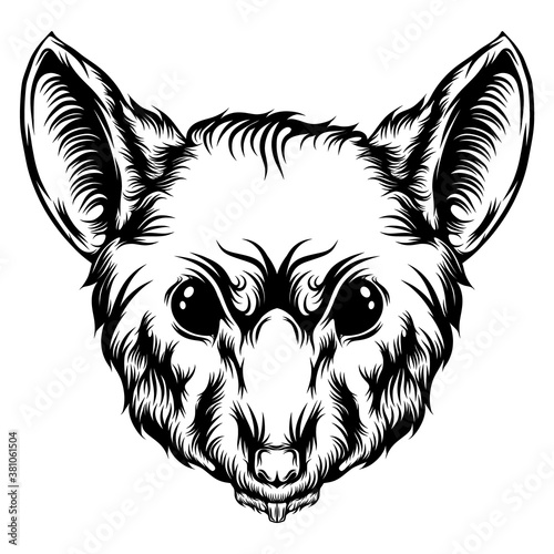 The Rat tattoo with the sharp teeth
