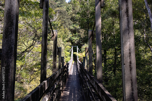 Wairoa Stream Suspension Bridge, Hunua Ranges Regional Park photo