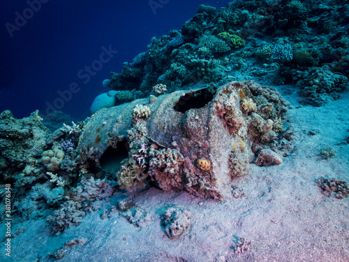 Wrecks with coral reef and diver