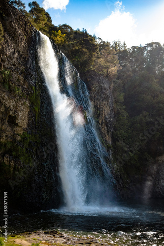 Spring day  Hunua Falls  near Auckland  New Zealand