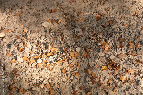 Stony footpath with dry leaves in autumn